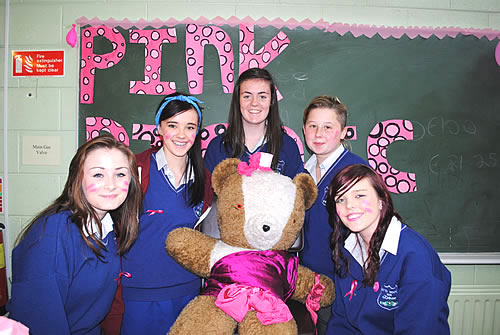 http://www.ardscoildungarvan.com/news/2012/12-10-29-pink-3.jpg